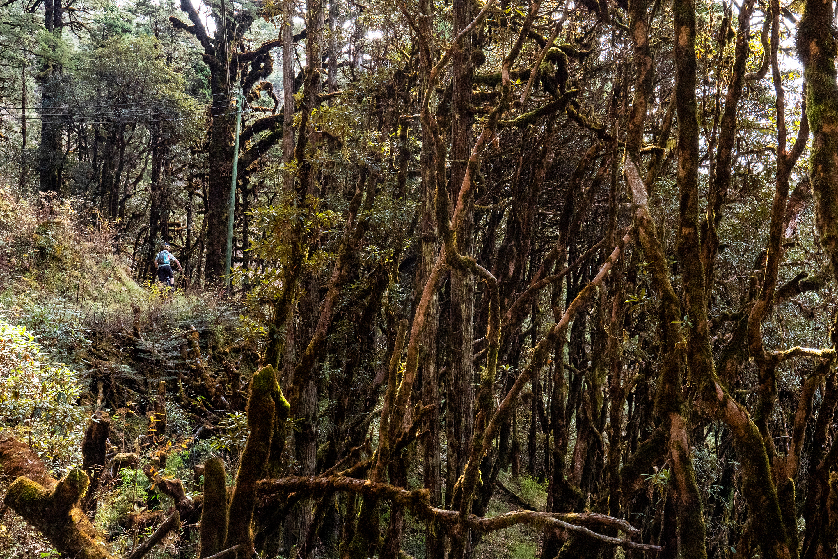 2025 International Yeti Gathering Bhutan