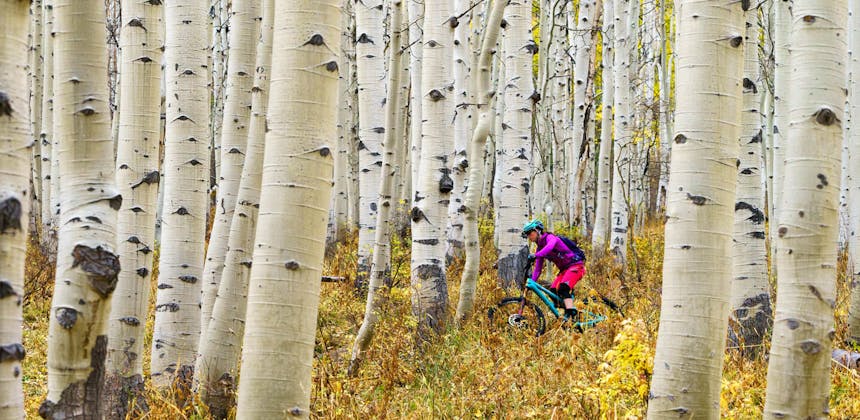 Sarah Uhl riding through aspen trees