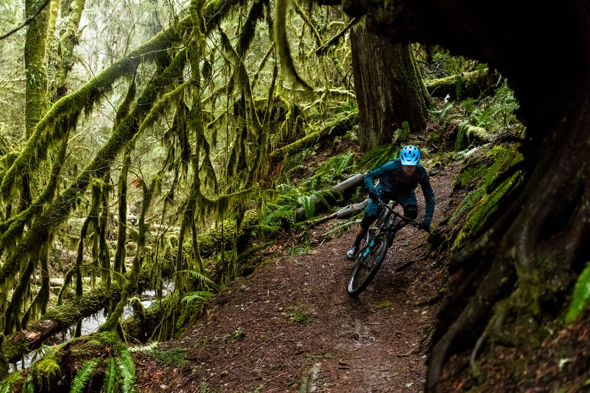 Geoff Kabush carving through a moss covered forest