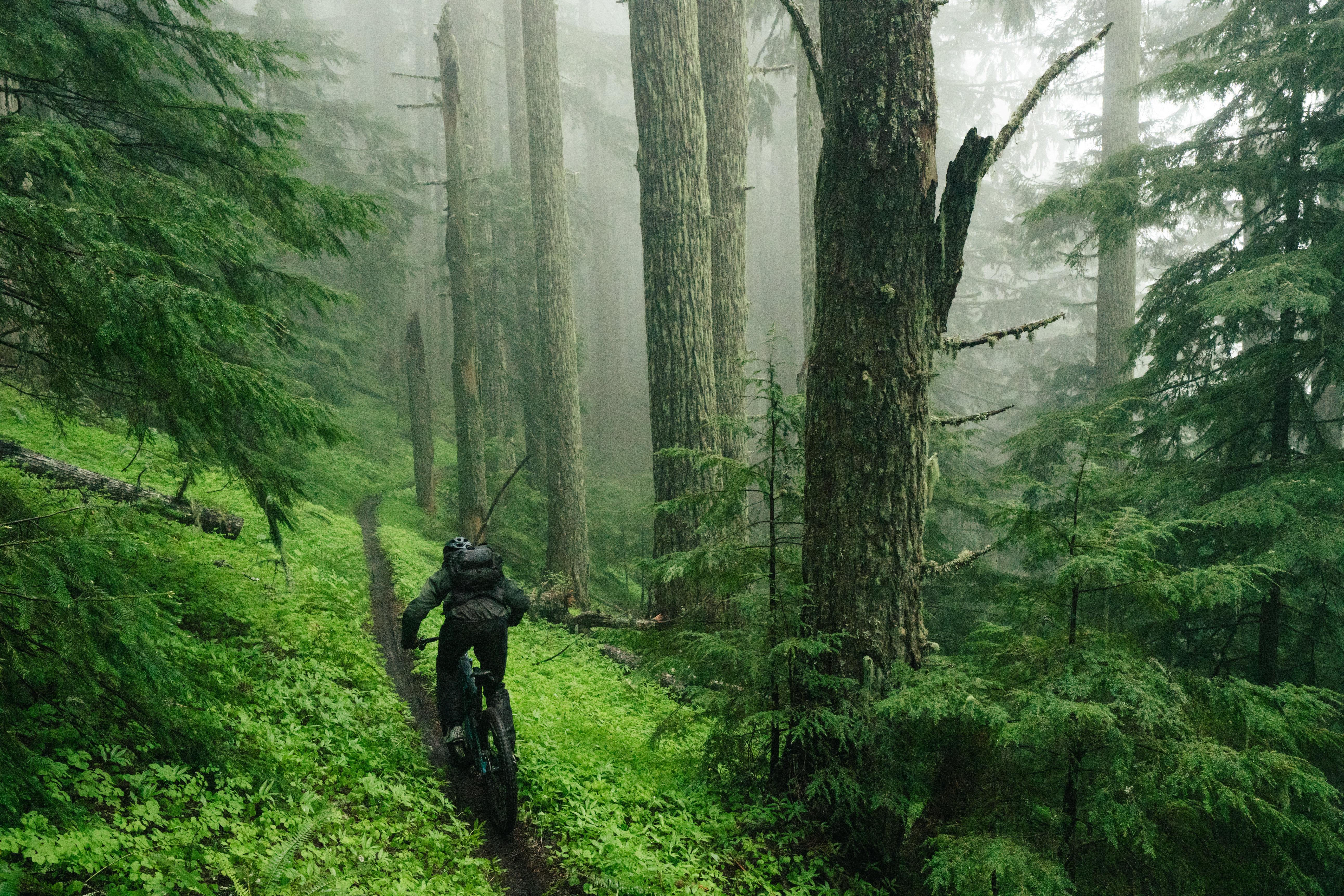2026 Yeti Gathering Oregon