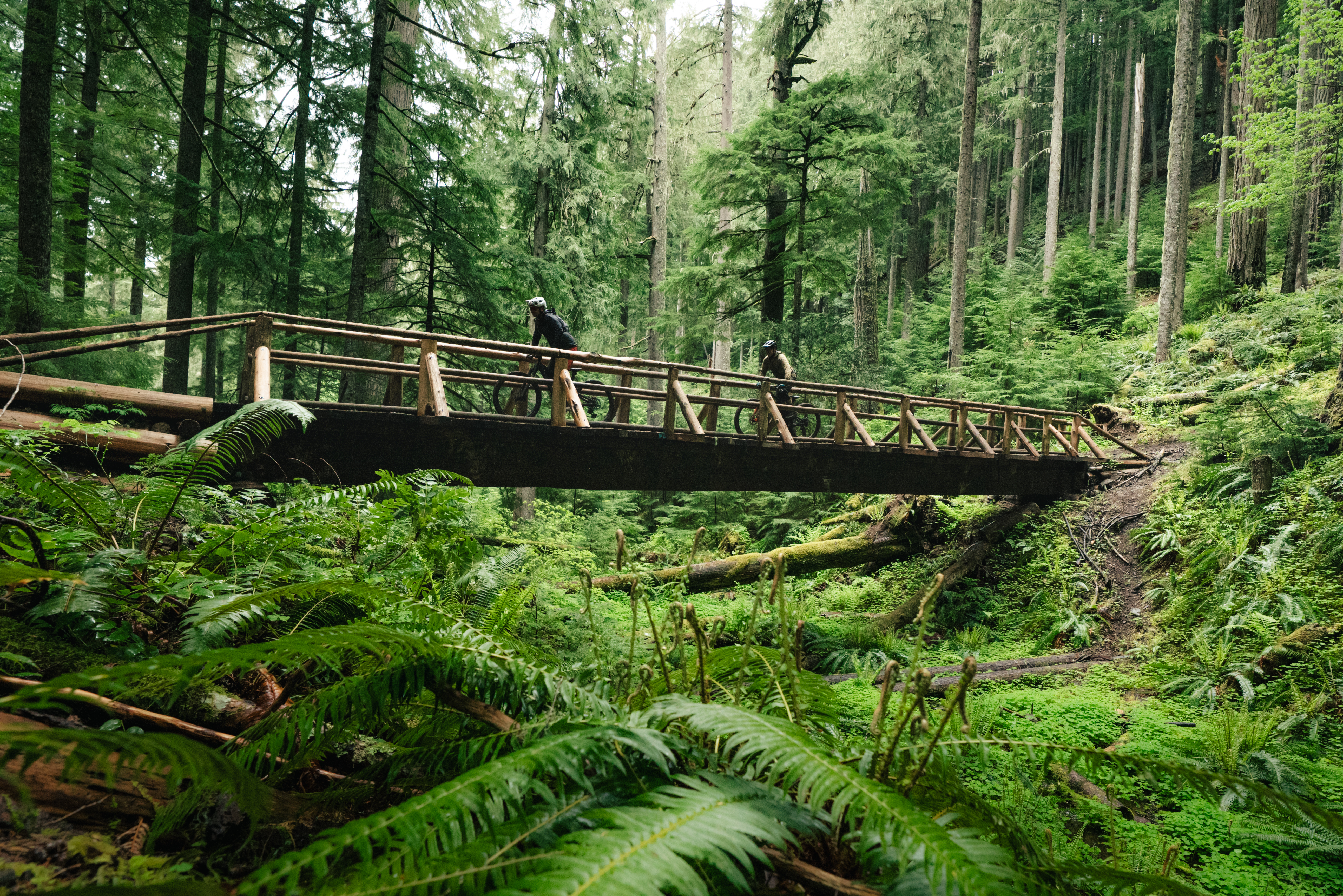 2026 Yeti Gathering Oregon - Bridge