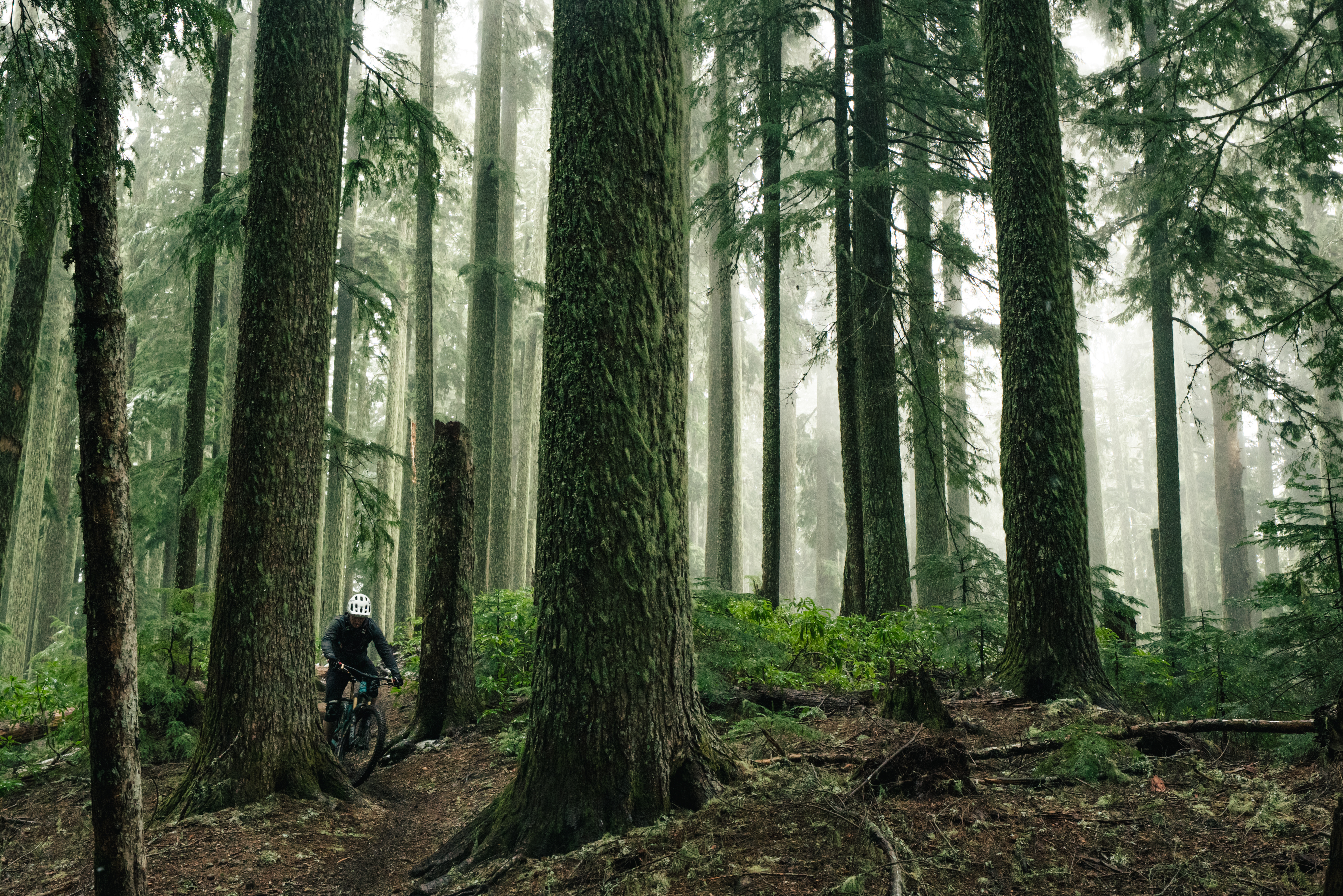 2026 Yeti Gathering Oregon - Rider in foggy woods