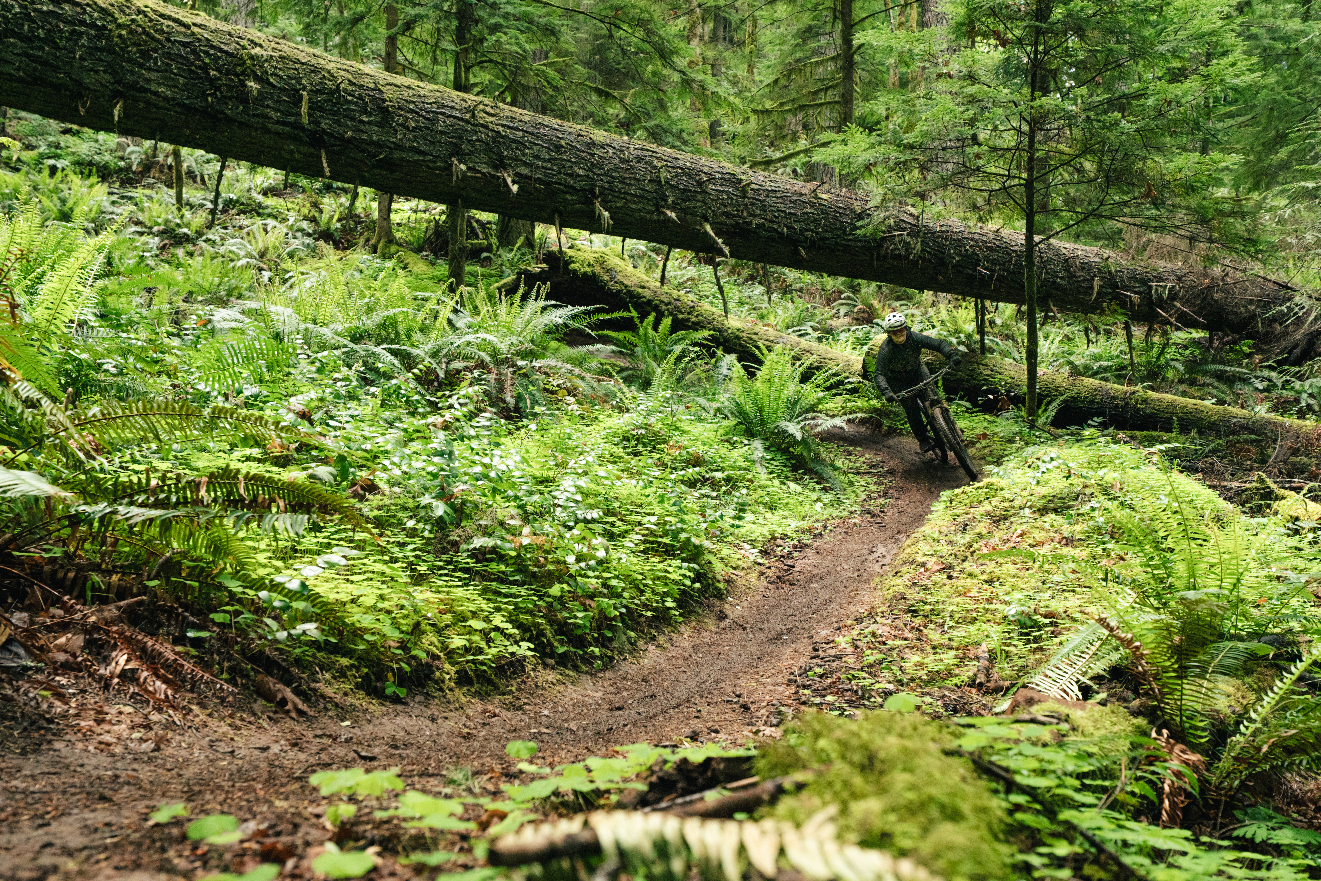 2026 Yeti Gathering Oregon
