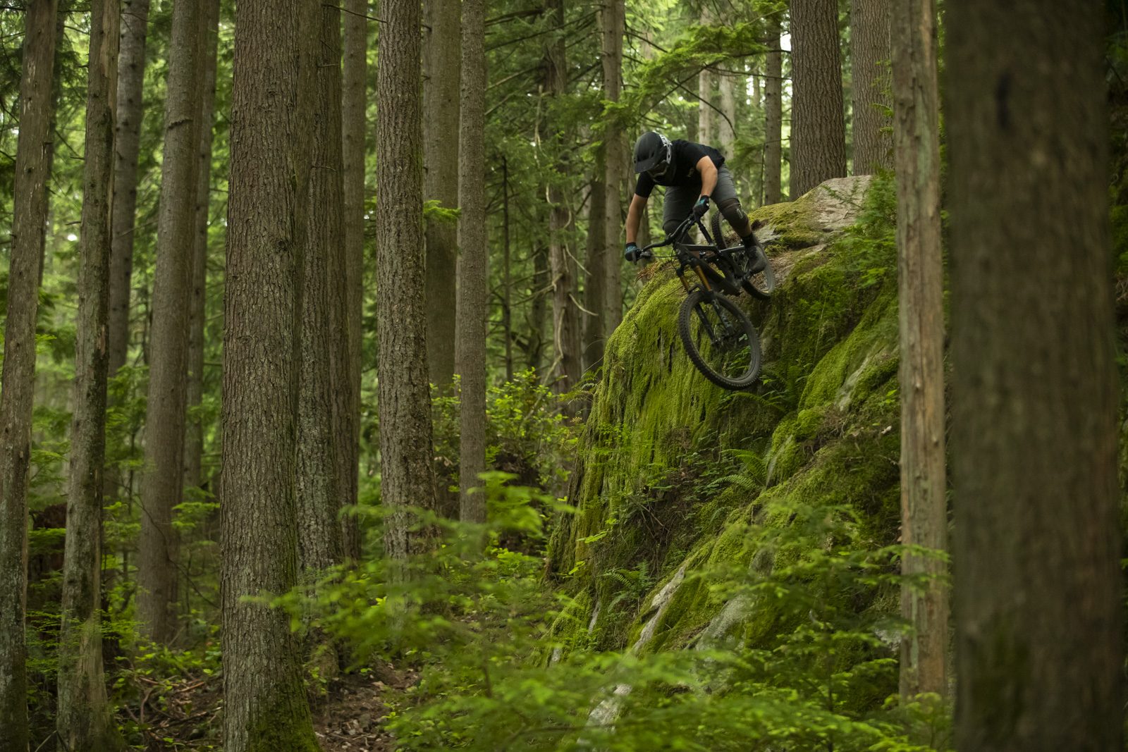 Stu Dixon in BC on the SB165