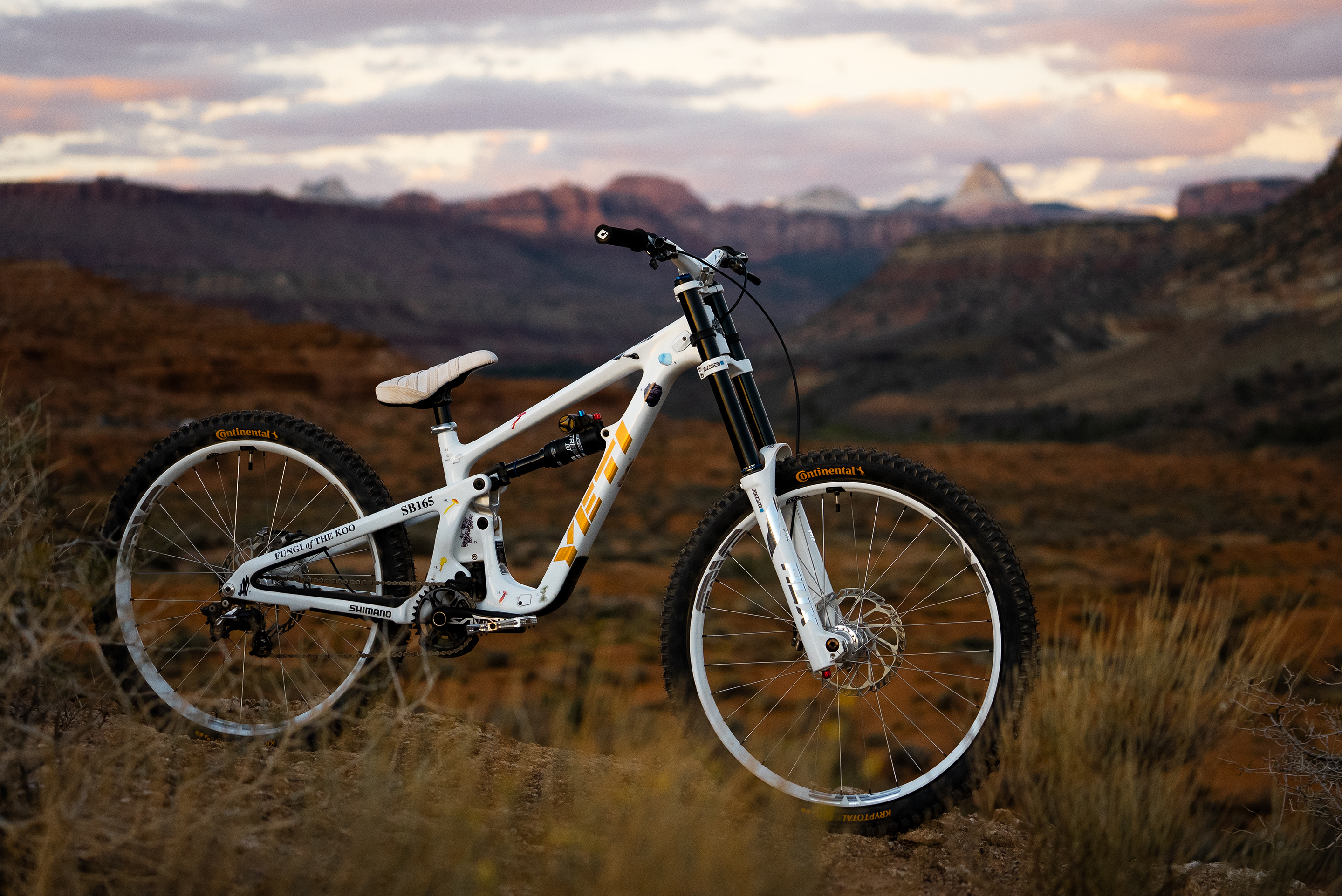 Red Bull Rampage '26 - Robin Goomes Bike Check