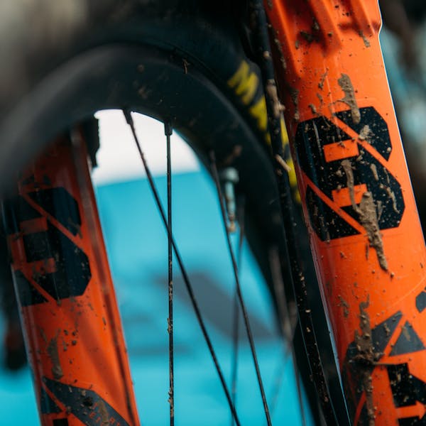 EWS.1 Tweed Valley - Fox 38