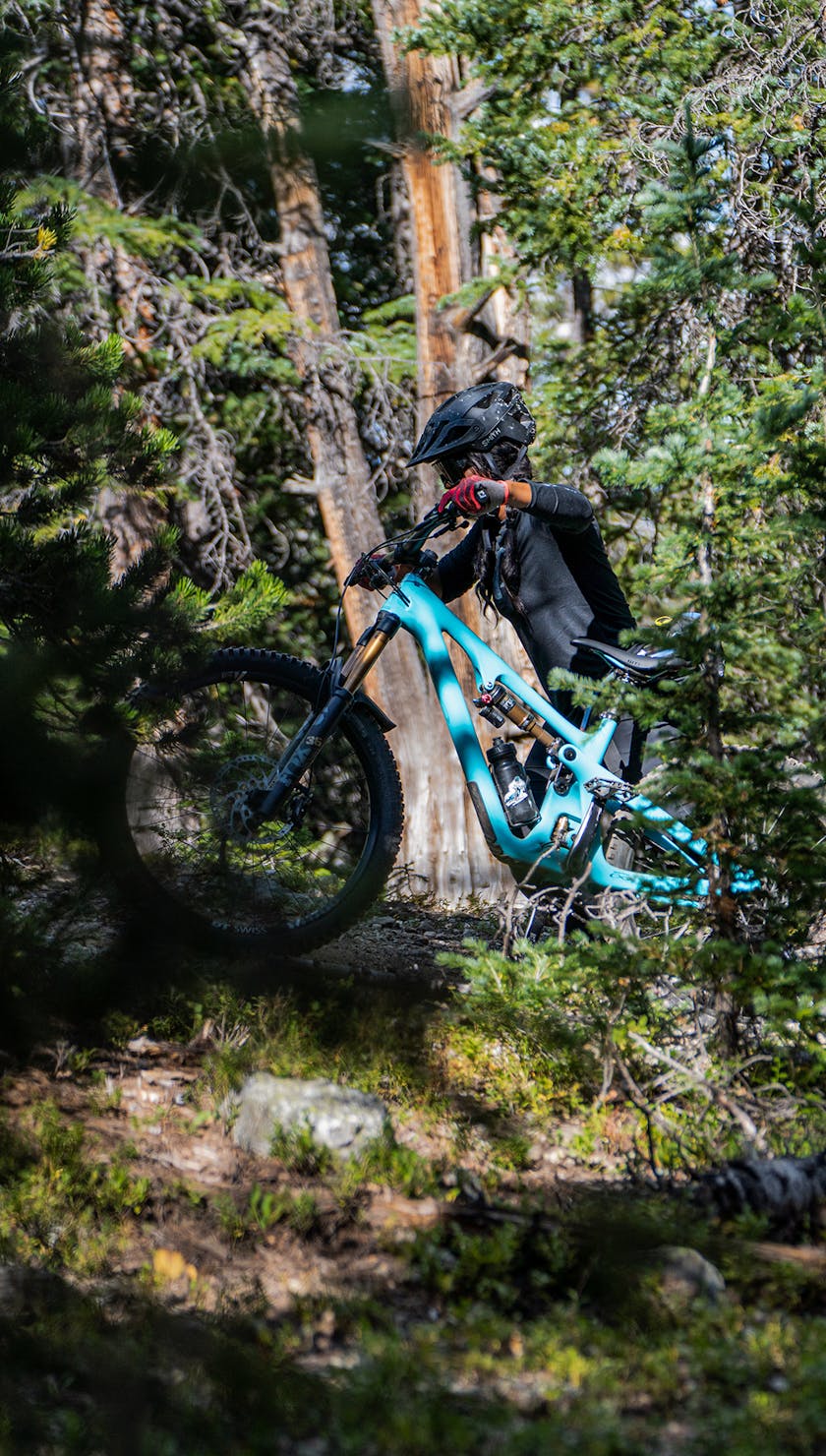 Brook Goudy A Space For All