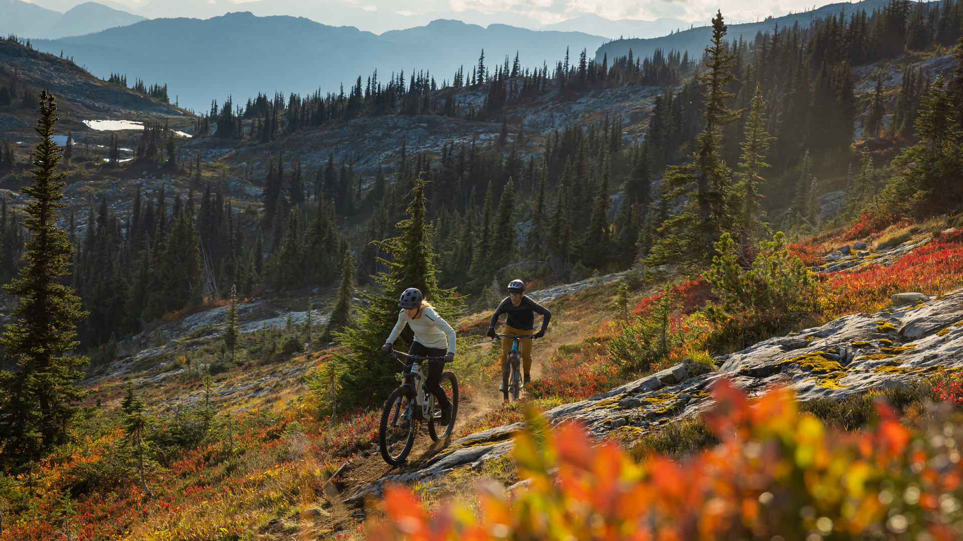 SB120 - Wickedly Efficient