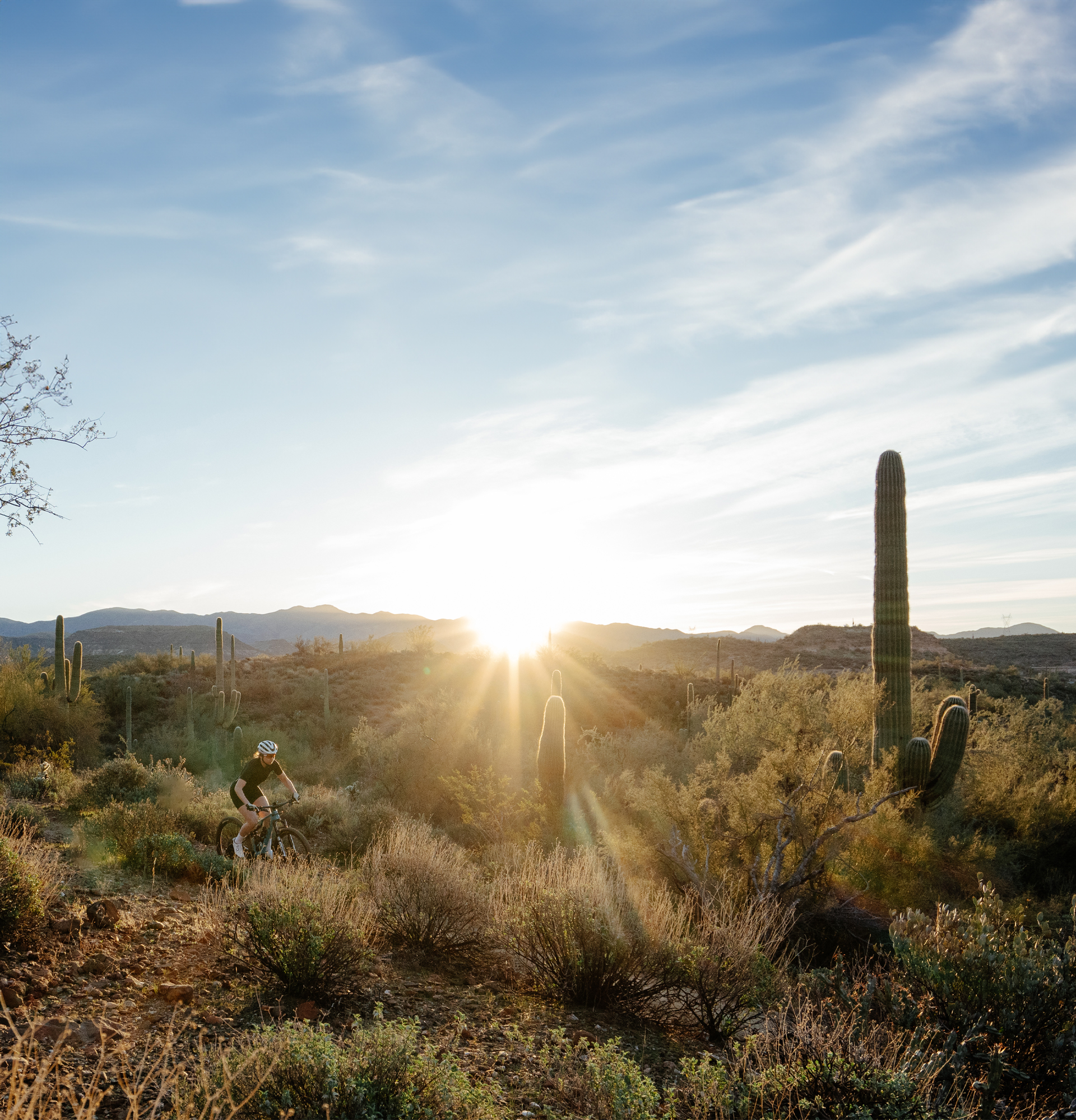 ASR - Jess Connell Attack