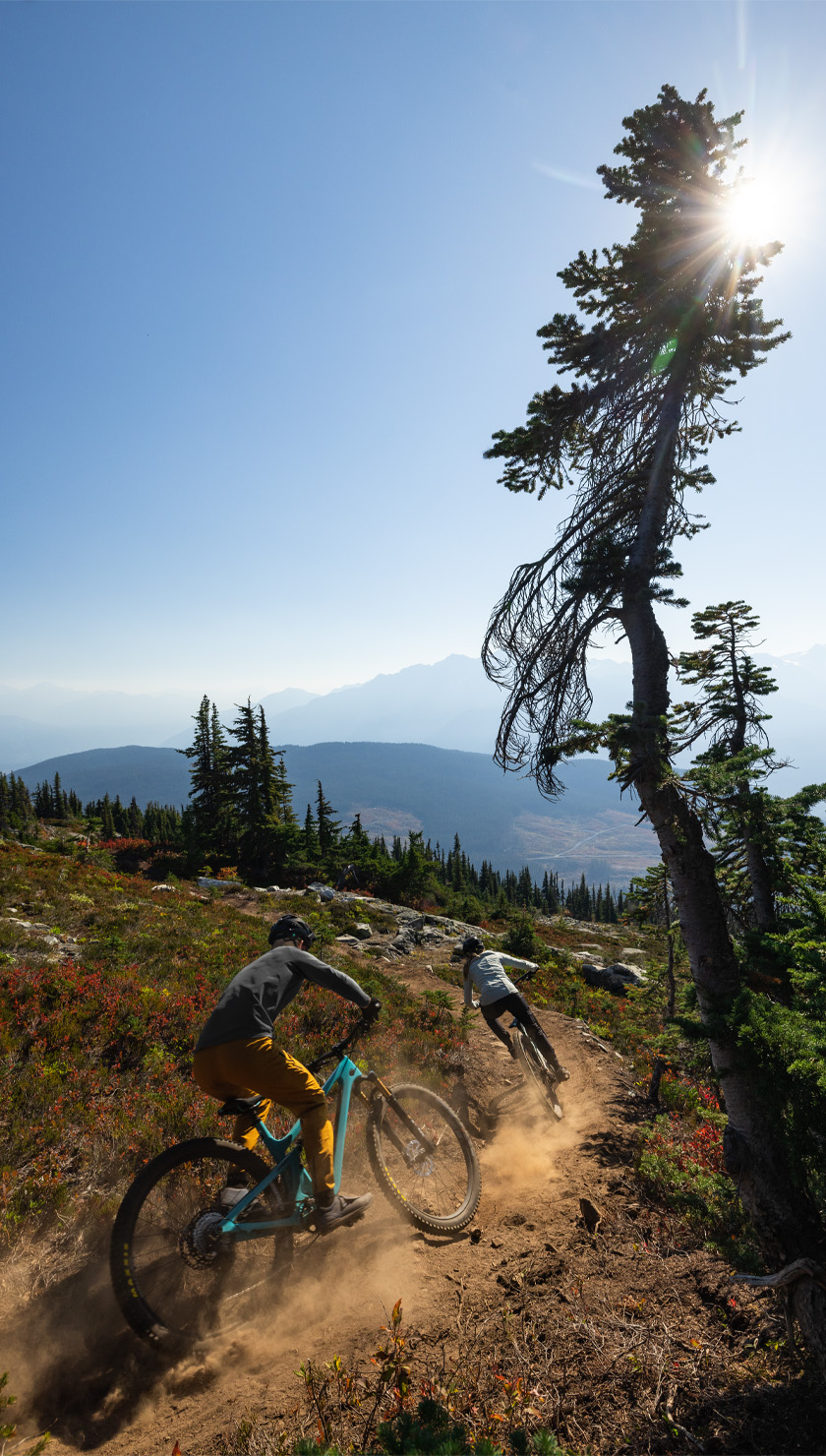 SB120 - Trail. Check Mate