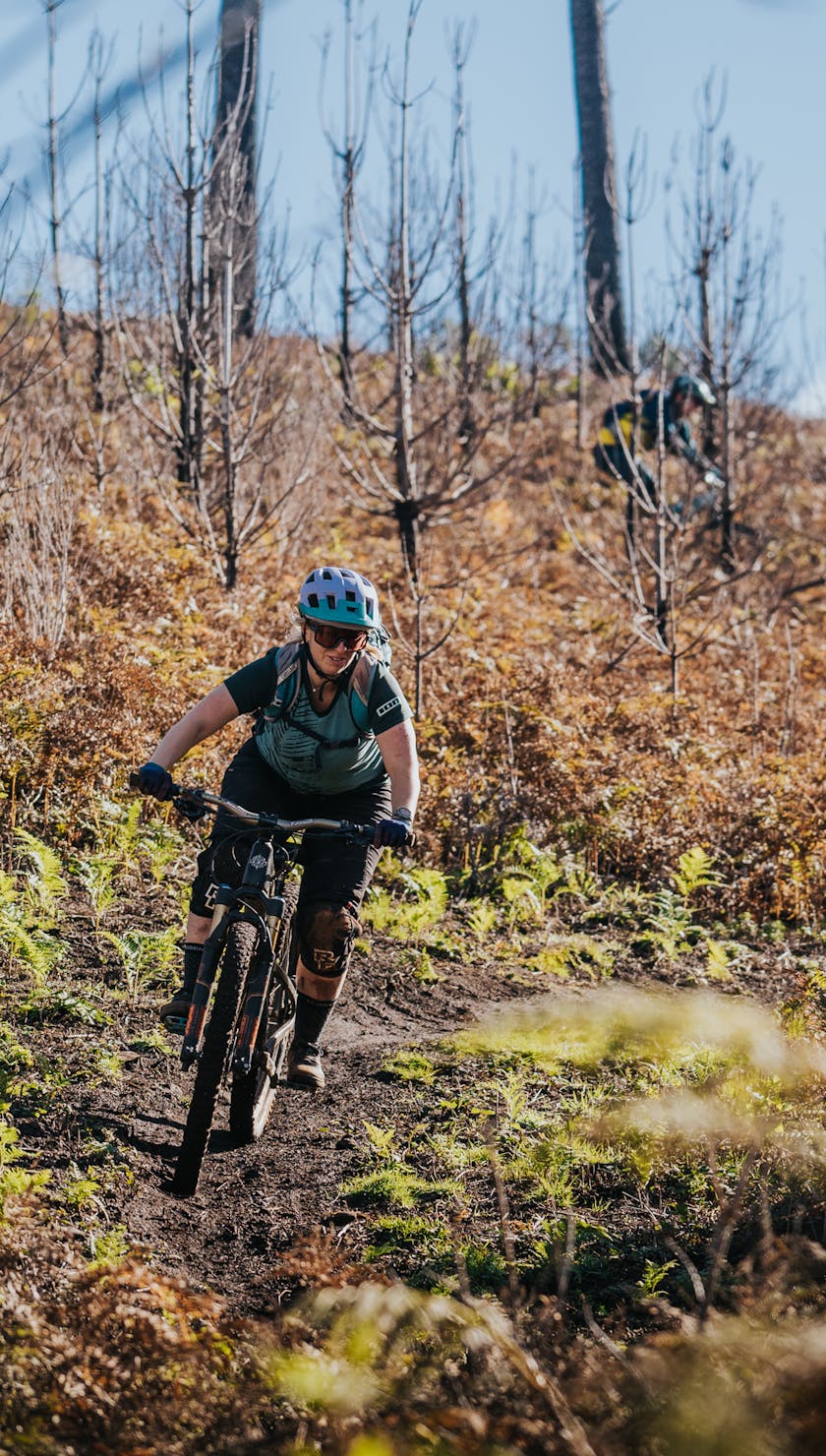 International Gathering Madeira