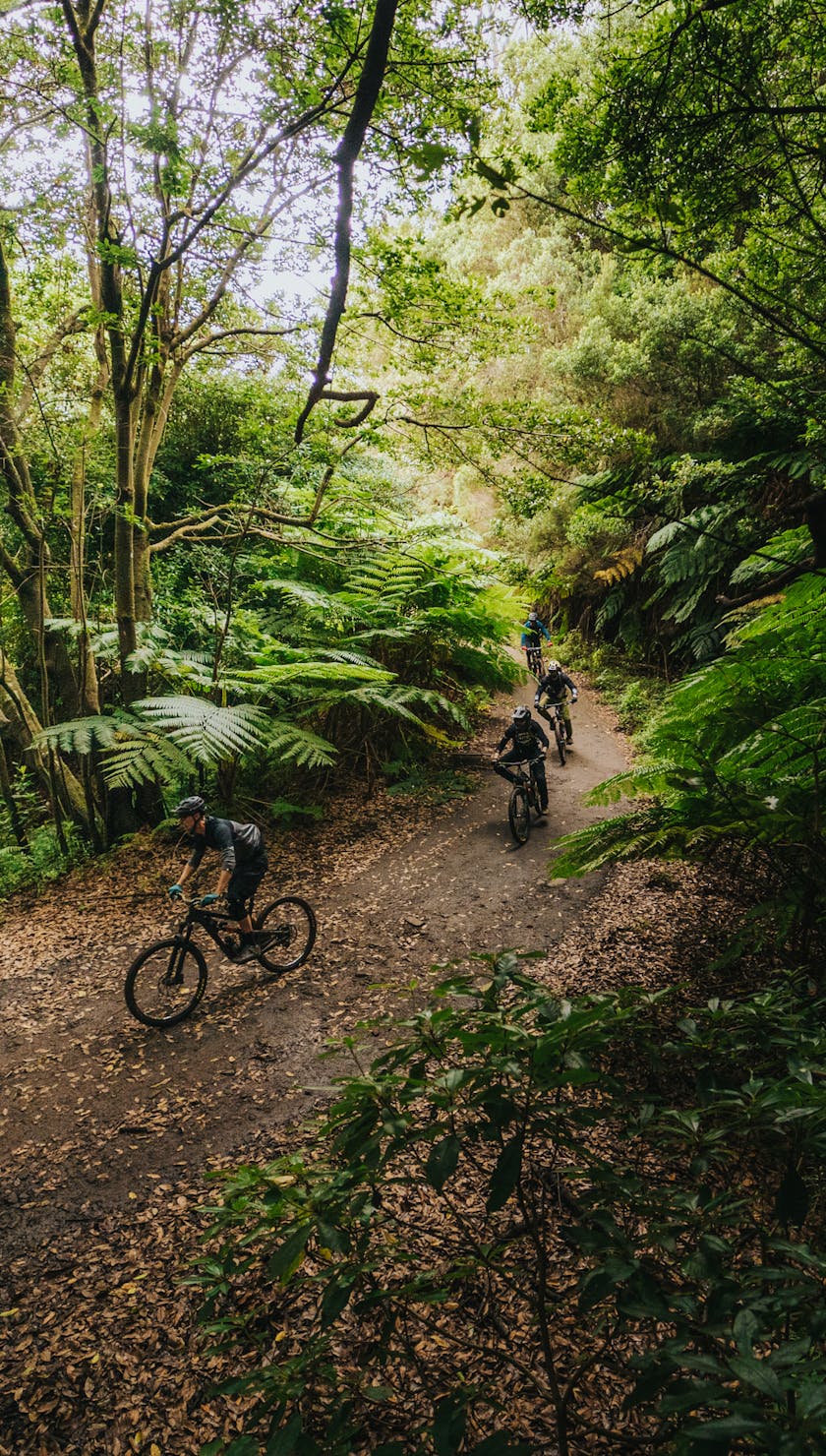 International Gathering Madeira