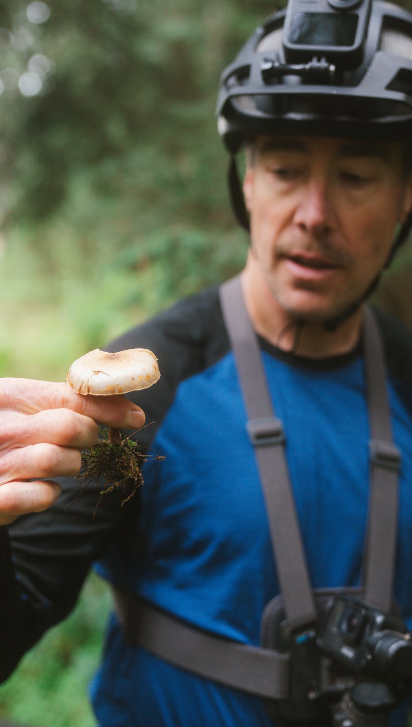 Internationales Yeti-Gathering Mexiko 2023