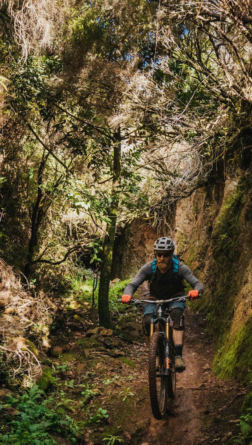 International Gathering Madeira