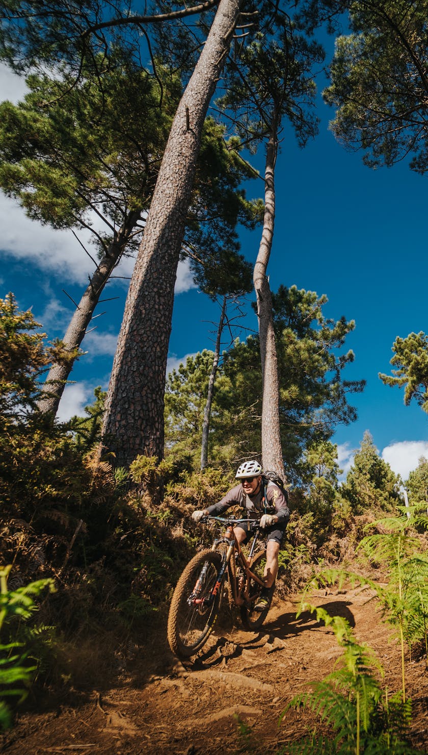 International Gathering Madeira