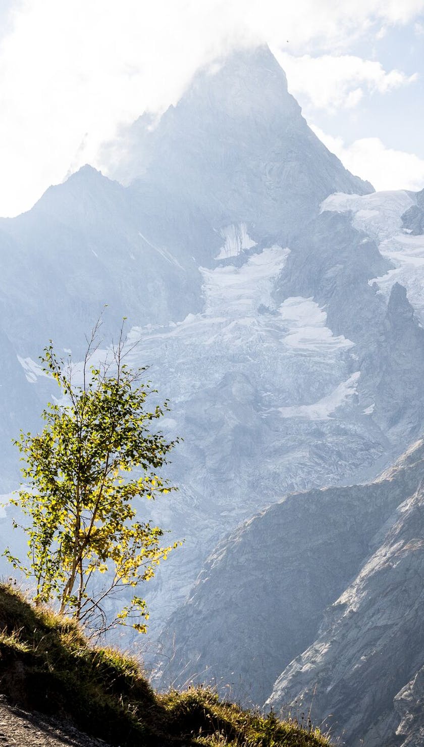 Francesco Gozio riding thing single track with Mt. Blanc in the background.