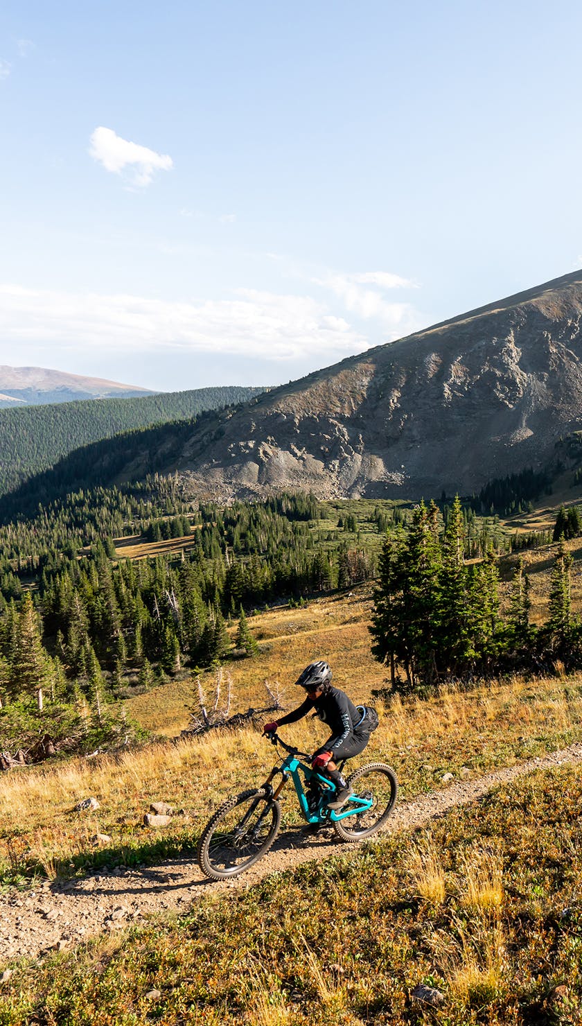 Brook Goudy A Space For All