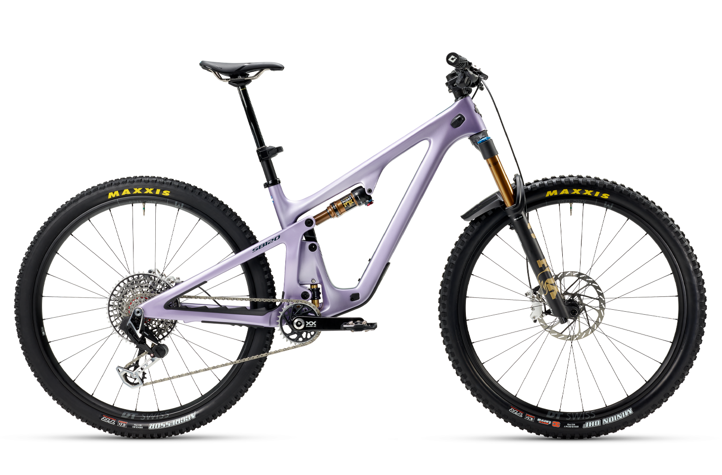 SB120 Lavender Pearl XX Profile
