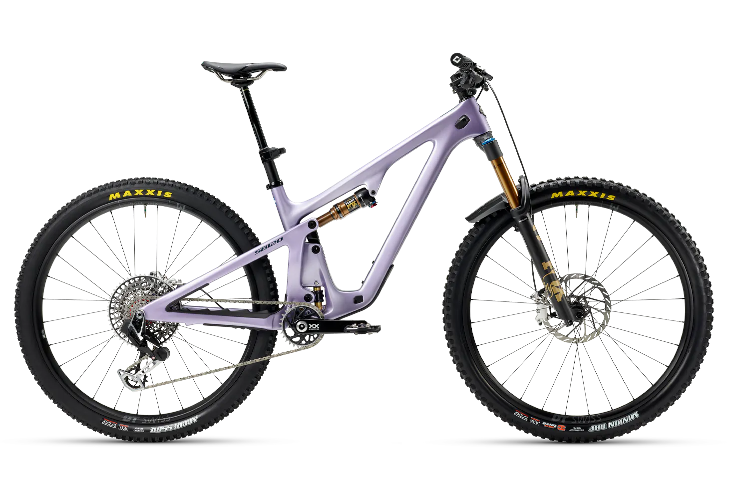 SB120 Lavender Pearl XX Profile